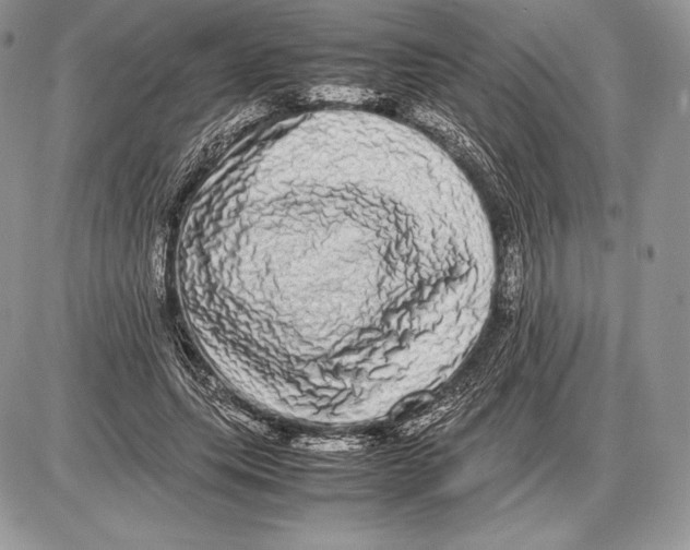 X0000085780639200704131830