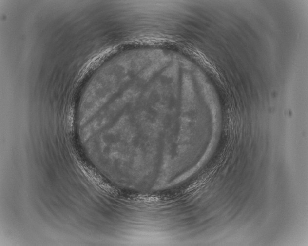 X0000085780640200704131830