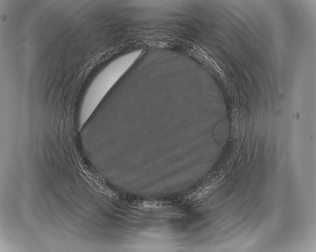 X0000085780641200704131830