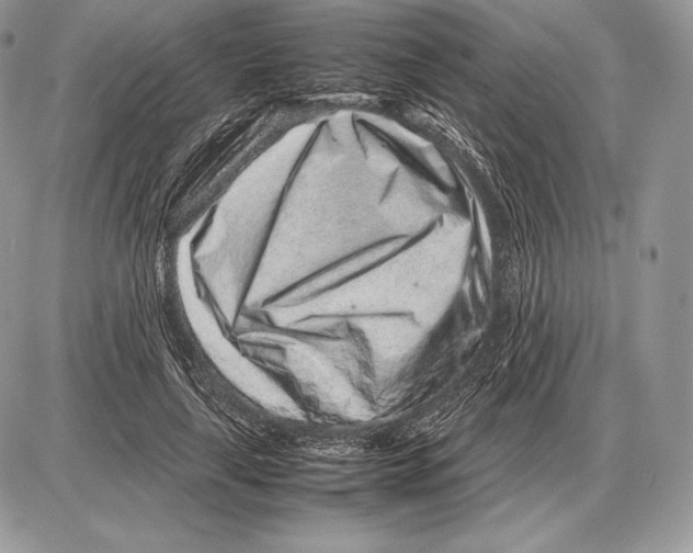 X0000085780643200704131830