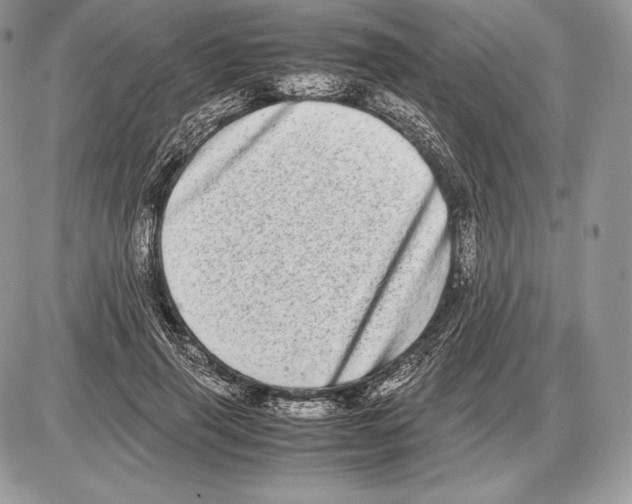 X0000085780645200704131830