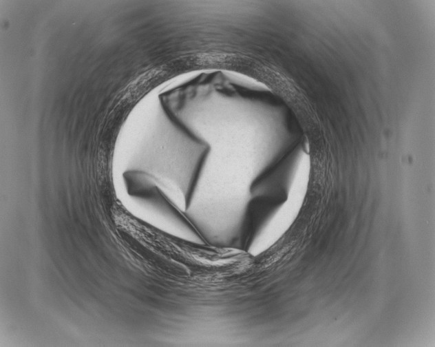 X0000085780648200704131830