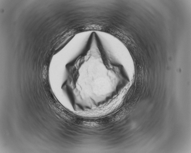 X0000085780649200704131830