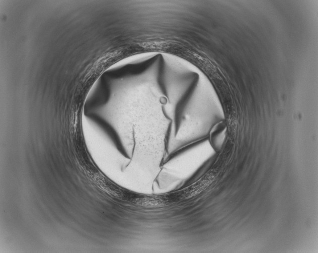 X0000085780652200704131830