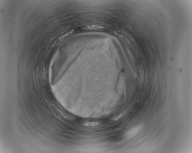 X0000085780653200704131830