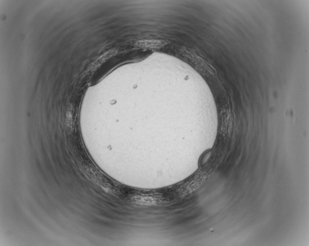 X0000085780655200704131830