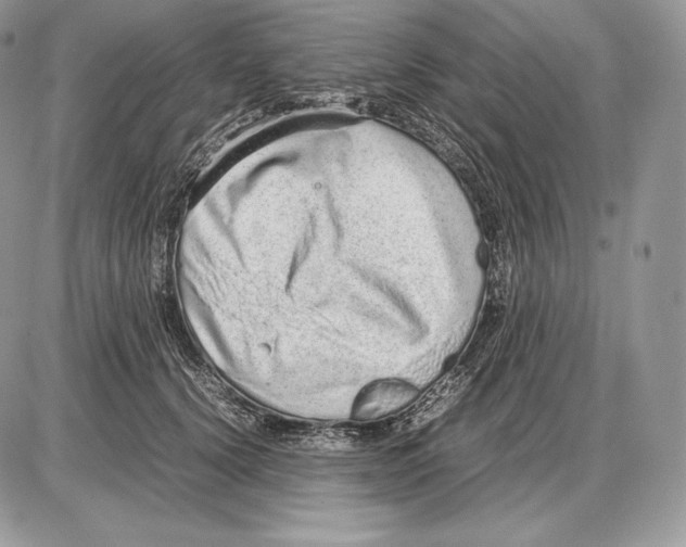 X0000085780656200704131830