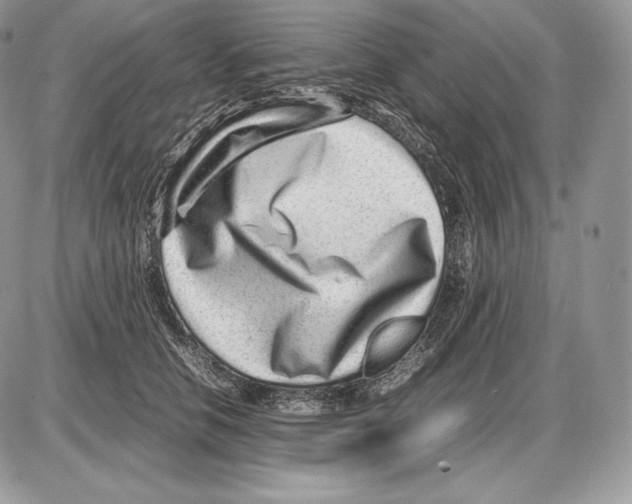 X0000085780658200704131830