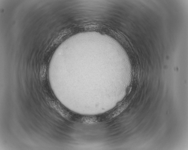 X0000085780660200704131830