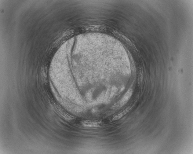 X0000085780661200704131830