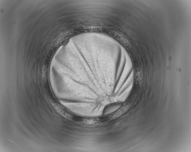 X0000085780662200704131830