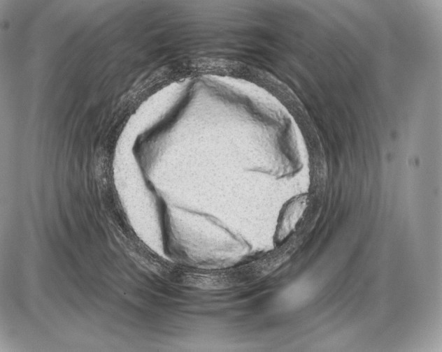 X0000085780663200704131830