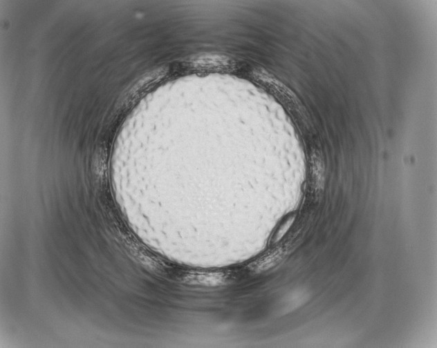 X0000085780665200704131830