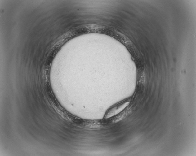 X0000085780666200704131830