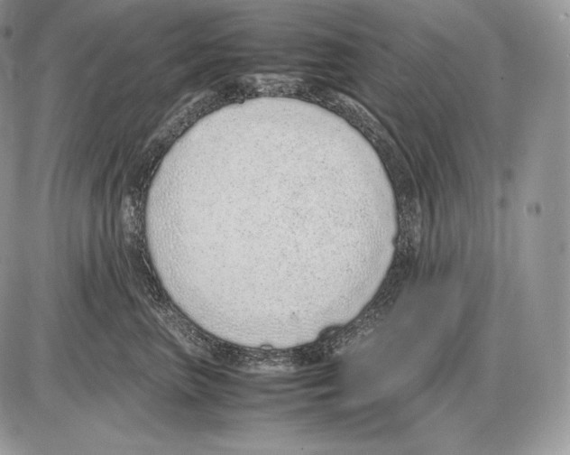 X0000085780667200704131830