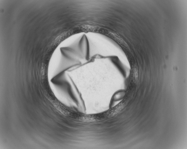 X0000085780668200704131830