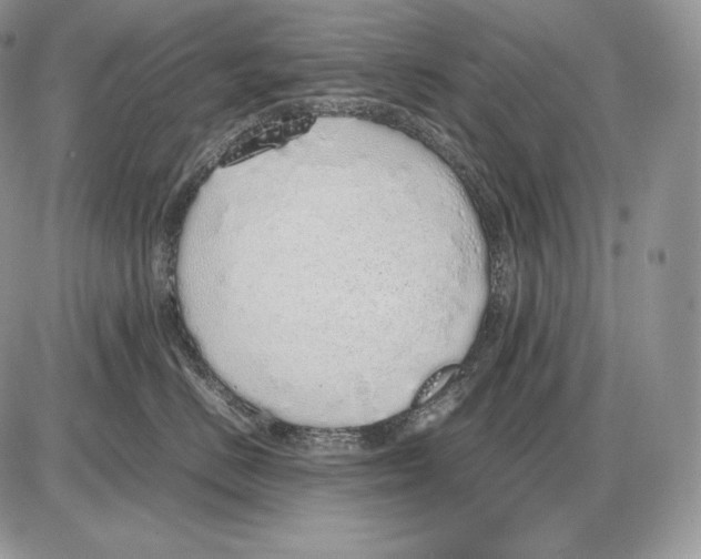 X0000085780670200704131830