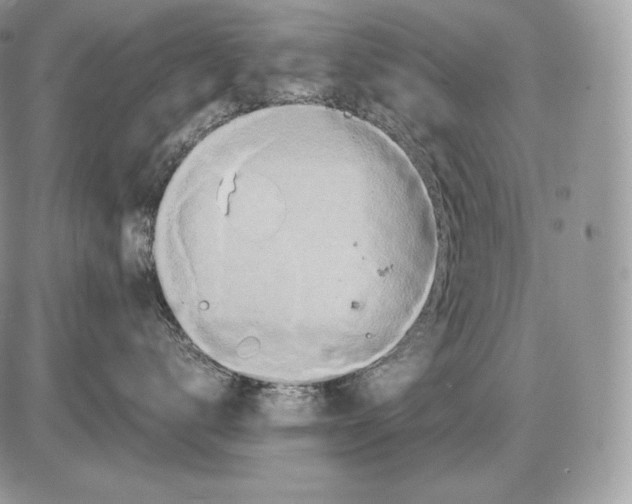 X0000085780672200704131830