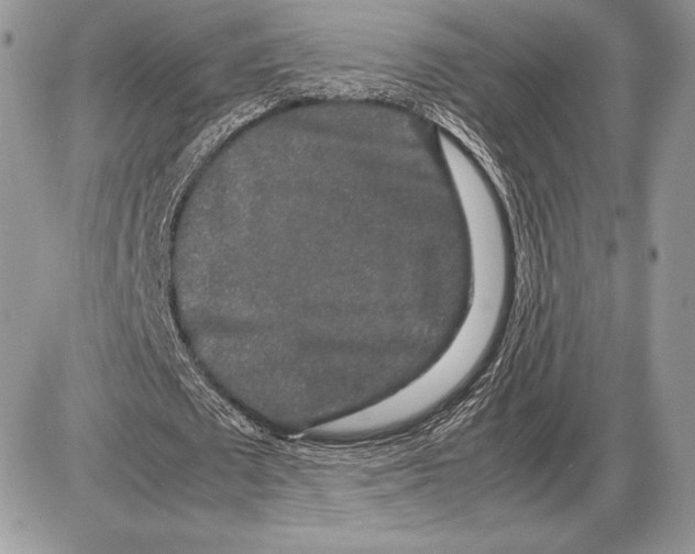 X0000085780673200704131830