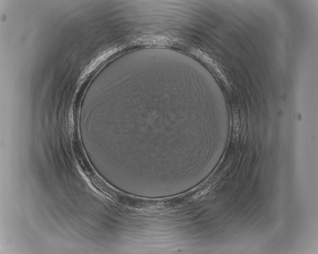 X0000085780674200704131830