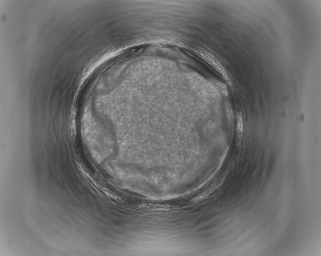 X0000085780676200704131829