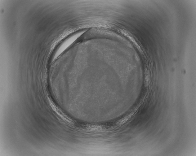 X0000085780677200704131829