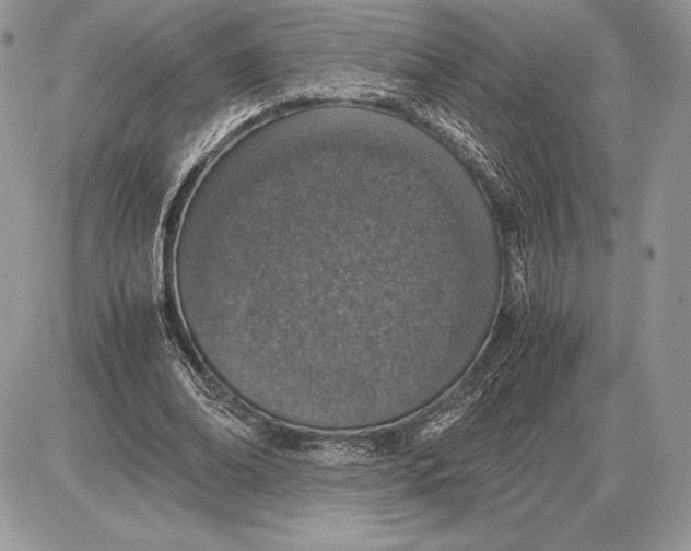 X0000085780678200704131829