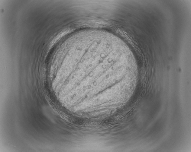 X0000085780679200704131829