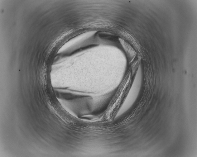 X0000085780680200704131829