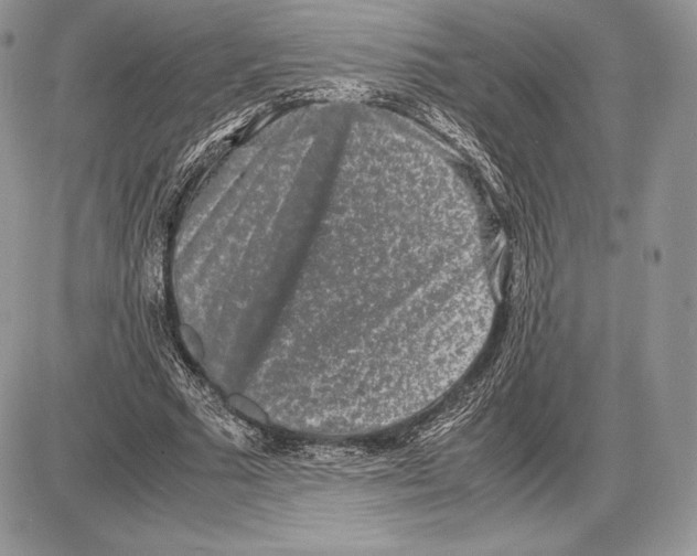 X0000085780681200704131829