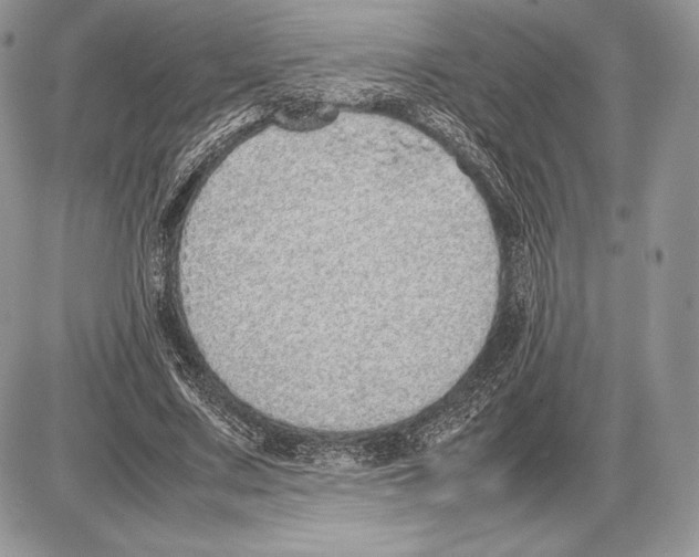 X0000085780683200704131829