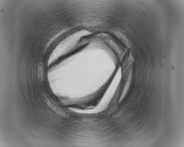 X0000085780684200704131829