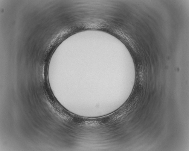 X0000085780686200704131829