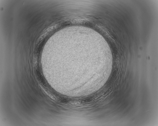 X0000085780687200704131829