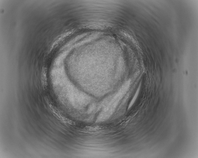 X0000085780688200704131829