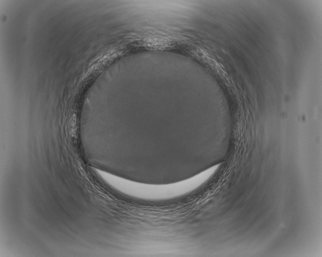 X0000085780689200704131829