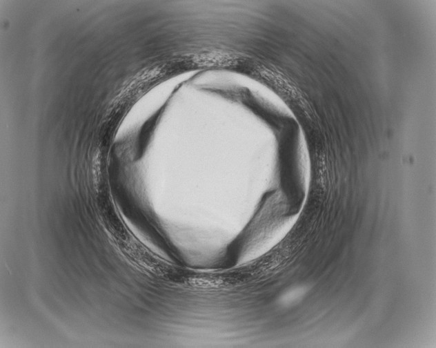 X0000085780690200704131829