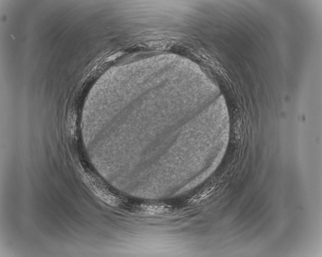 X0000085780693200704131829