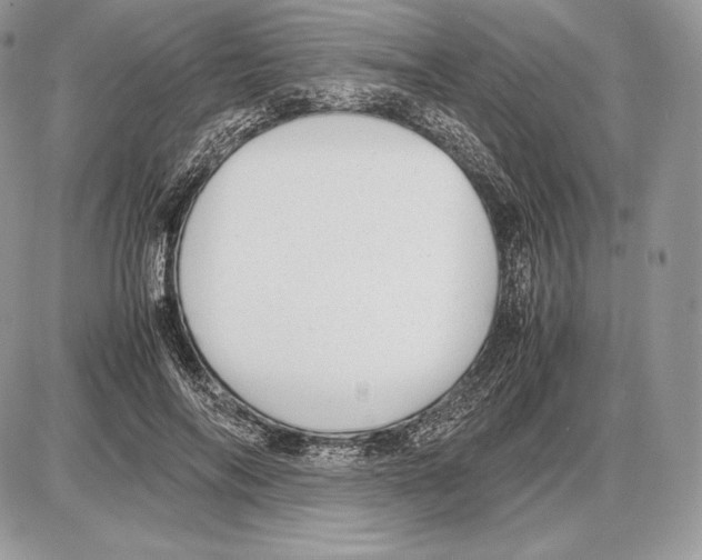 X0000085780694200704131829