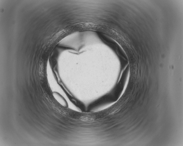 X0000085780700200704131829