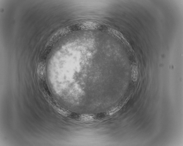 X0000085780701200704131829