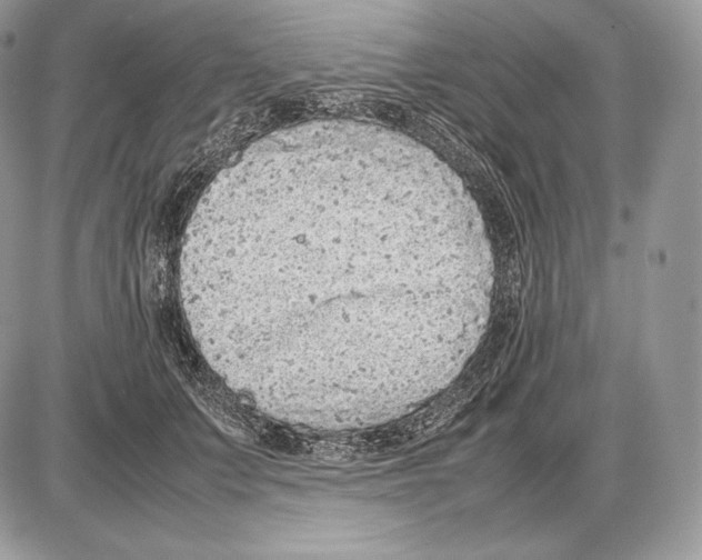 X0000085780703200704131829