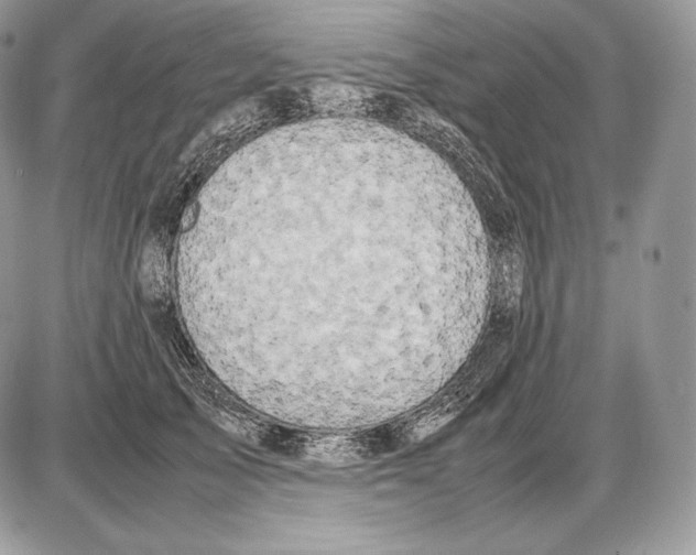 X0000085780705200704131829