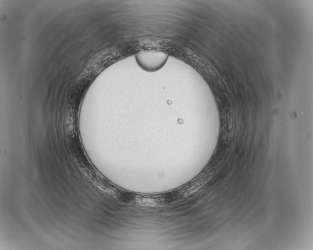 X0000085780706200704131829