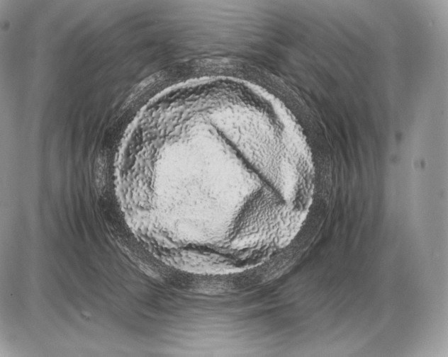 X0000085780708200704131829