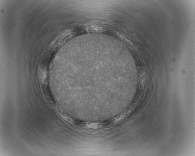 X0000085780709200704131829