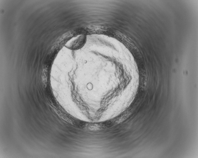 X0000085780710200704131829