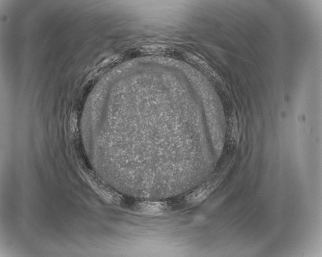 X0000085780711200704131829