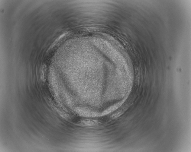 X0000085780712200704131829