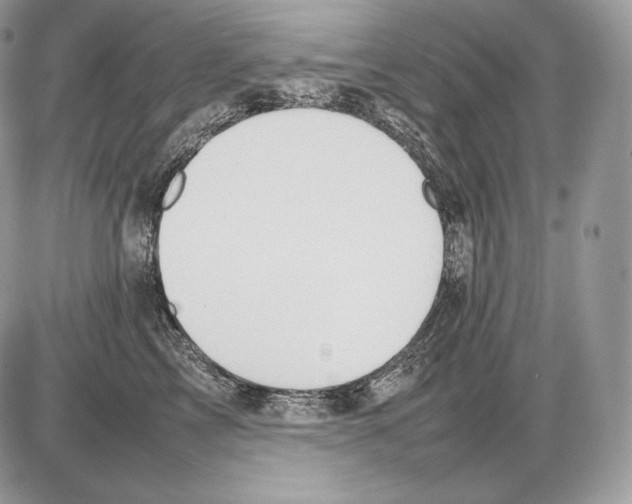 X0000085780713200704131829